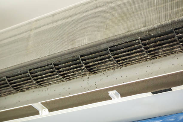 Air Duct Mold Removal in Crooked Lake Park, FL